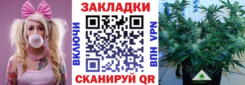 Виды наркоты Грязовец Альфа ПВП Конопля ЭКСТАЗИ Мефедрон ГАШИШ COCAIN