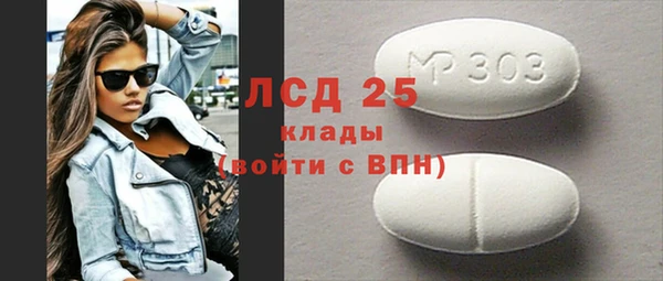 прущий лед Алзамай