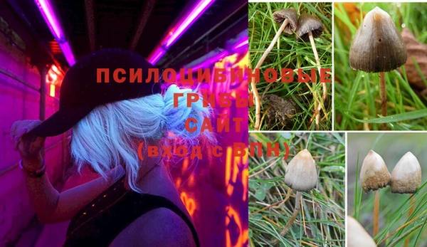 прущий лед Алзамай