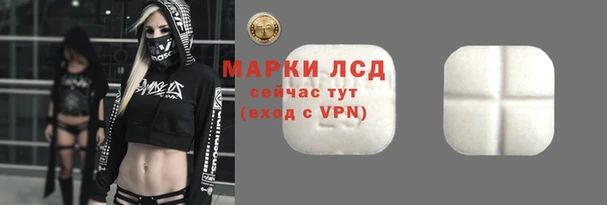 прущий лед Алзамай