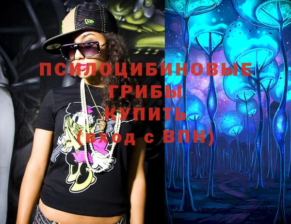 прущий лед Алзамай