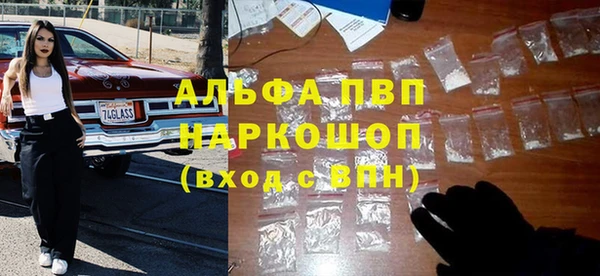 прущий лед Алзамай