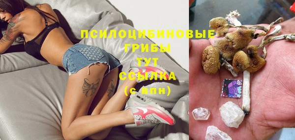 МДПВ Алексеевка