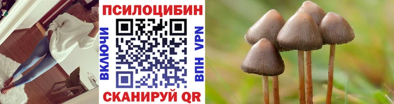 Псилоцибиновые грибы Psilocybe  ссылка на мегу ССЫЛКА  Грязовец 