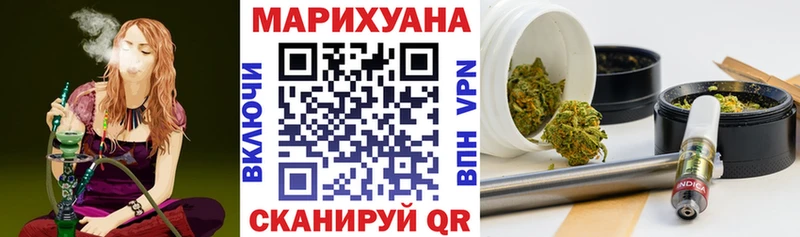 Конопля сатива  Грязовец 